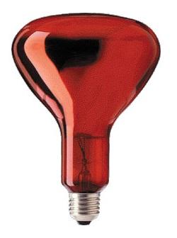 Lampada Infra. Aquecimento E27 R115 250W - GSC