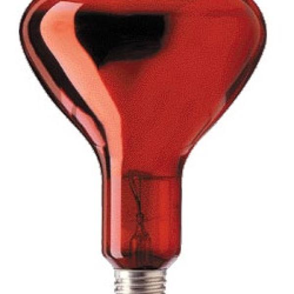 Lampada Infra. Aquecimento E27 R115 250W - GSC