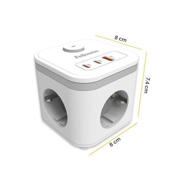 Entrelinha Fellowes 100137167 Preto (2 m)