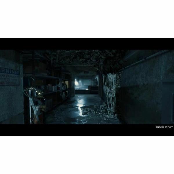 Jogo eletrónico PlayStation 5 Sony Death Stranding