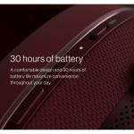 Auriculares Bowers & Wilkins FP44520