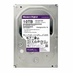 Disco Duro Western Digital WD102PURP 3,5" 10 TB