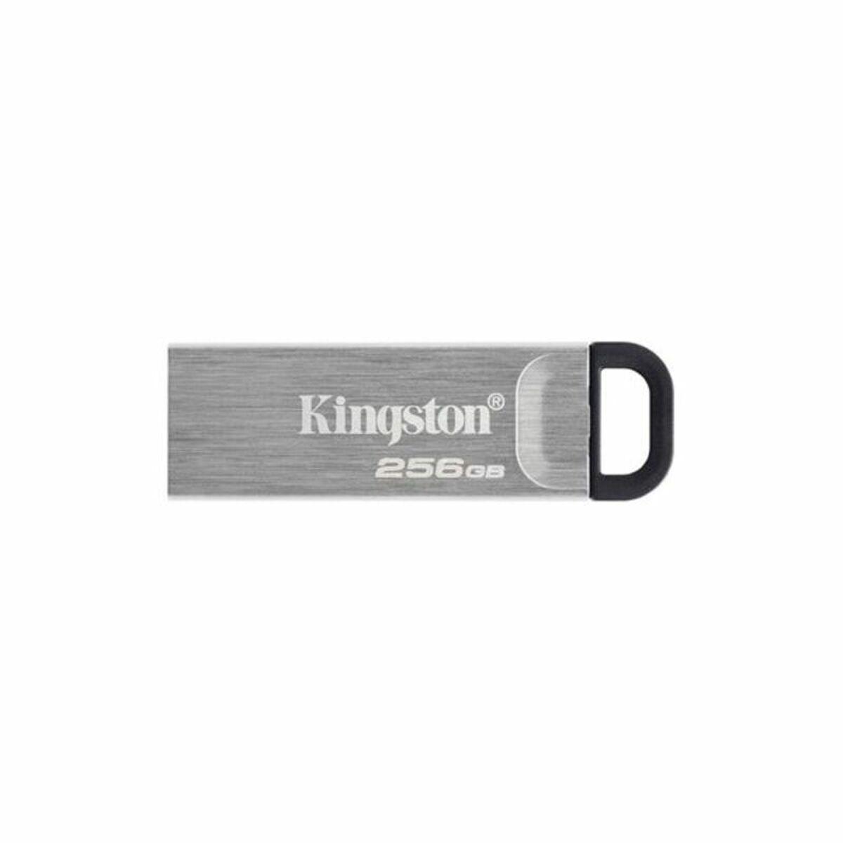 Pendrive Kingston DTKN/256GB USB 3.2 Prateado Preto 256 GB