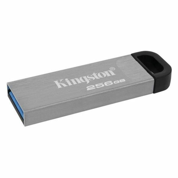 Pendrive Kingston DTKN/256GB USB 3.2 Prateado Preto 256 GB