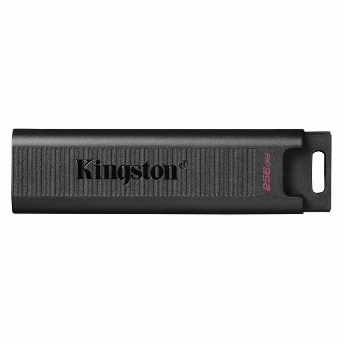 Memória USB Kingston DTMAX/256GB 256 GB