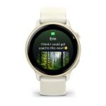 Smartwatch GARMIN 010-02985-01
