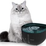 Fonte de Água Automática Pumba 2200 Refresh 2L (Preto/Azul) - CECOTEC