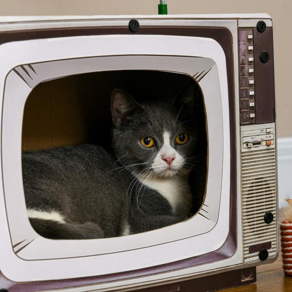 Arranhador de Cartão para Gatos Casa para Gatos em Forma de Televisor com Rato de Brinquedo 43x23x32,5 cm Areia