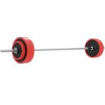 Conjunto de Barra de Pesos 30 kg com Discos Conjunto de Musculação com 6 Discos e 1 Barra para Treino de Força Levantamento de Pesos 170x26x26 cm Vermelho