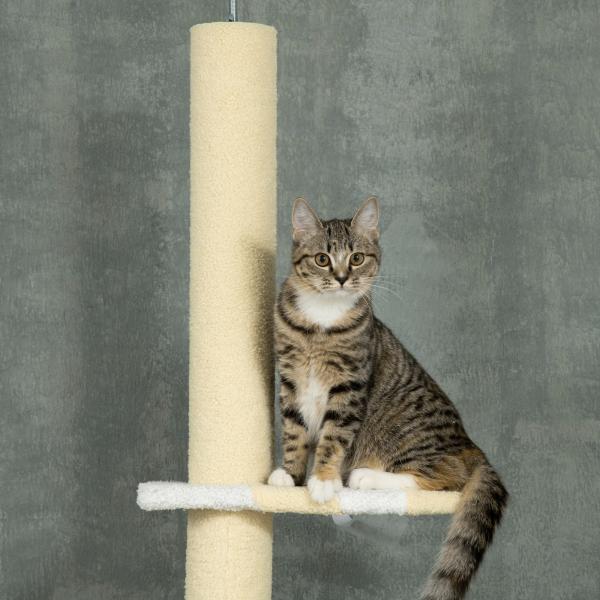 Árvore para Gatos do Chão ao Teto com Altura Ajustável 3 Plataformas Poste de Sisal e Bola para Brincar 47x34x220 - 260cm Creme