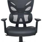 Cadeira Ergonómica Regent (Preto) - LOVIT