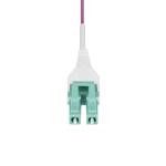 Conector RJ45 Categoria 6 FTP Startech OM4RLCLC10M Violeta 10 m