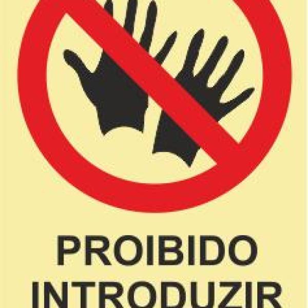 Sinais de Proibição - Fotoluminescente 2F. (45º com a Parede) 200x300mm