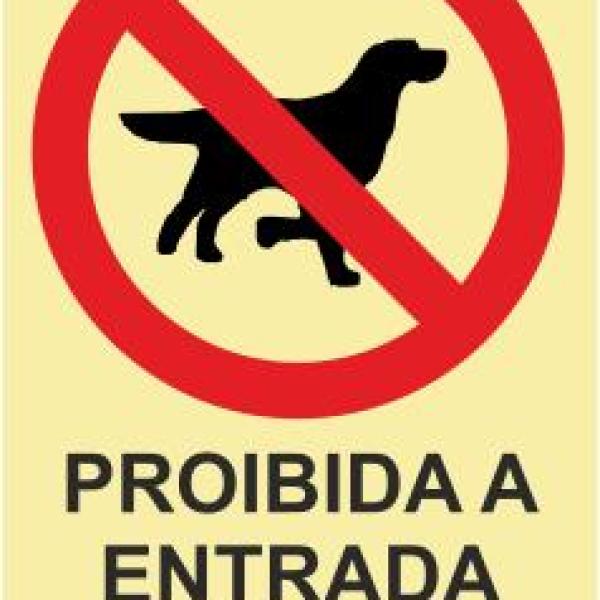 Sinais de Proibição - Fotoluminescente 2F. (Aplicação por Suspensão) 300x400mm