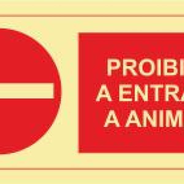 Sinais de Proibição - Fotoluminescente 1F. 200x100mm