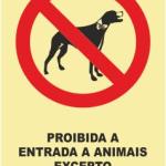 Sinais de Proibição - Vinil 150x200mm