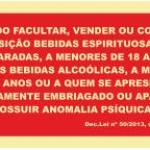 Sinais de Proibição - Fotoluminescente 2F. (45º com a Parede) 200x100mm