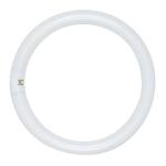 Lampada Fluorescente Circular T9 220V 40W 2600Lm