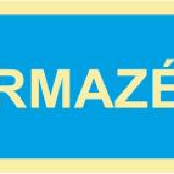 Sinal de Informação - Fotoluminescente 2F. fiz. (90º com a Parede) 600x300mm