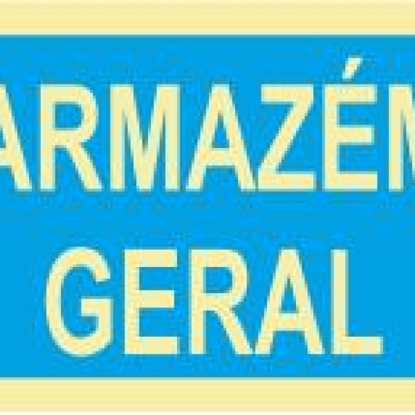 Sinal de Informação - Fotoluminescente 2F. fiz. (90º com a Parede) 600x300mm