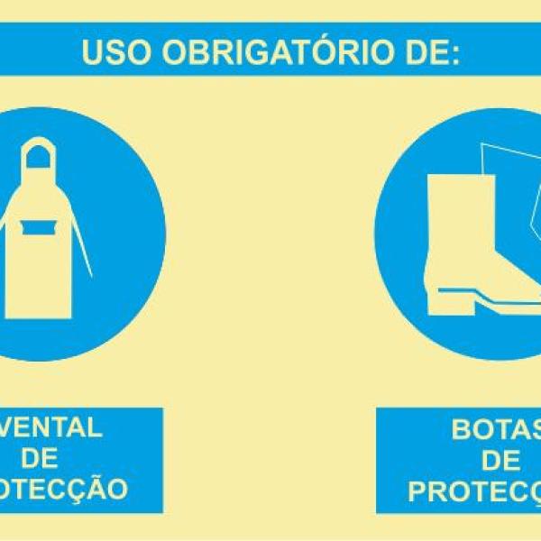 Sinal Composto - Fotoluminescente 2F. (45º com a Parede) 400x300mm