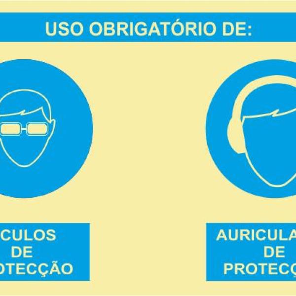 Sinal Composto - Fotoluminescente 2F. (Aplicação por Suspensão) 400x300mm