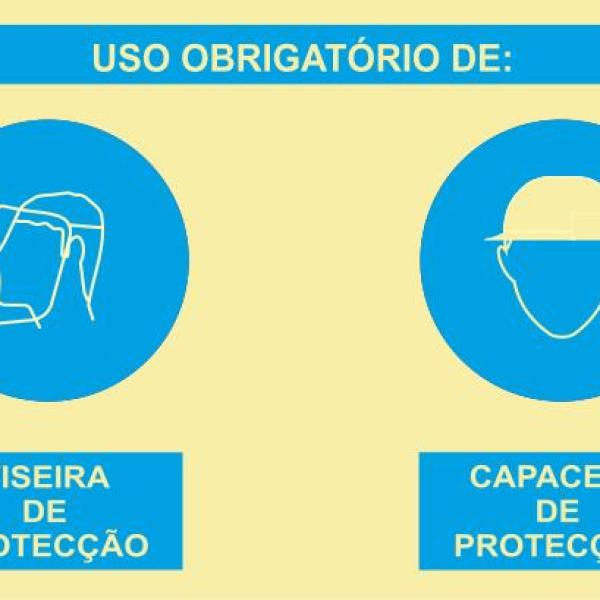 Sinal Composto - Fotoluminescente 2F. (45º com a Parede) 400x300mm