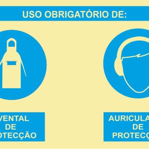 Sinal Composto - Fotoluminescente 2F. fiz. (90º com a Parede) 400x300mm