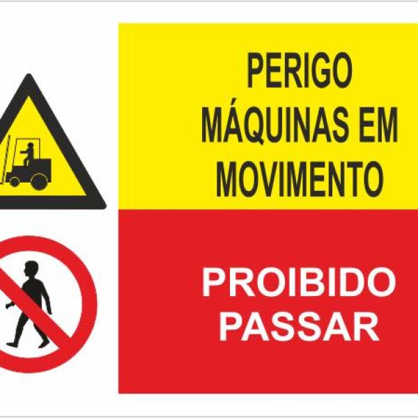 Sinal Composto - Fotoluminescente 2F. (Aplicação por Suspensão) 400x300mm