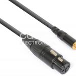 Cabo Adaptador Canon Femea - RCA Femea (15cm) - POWER DYNAMICS CONNEX