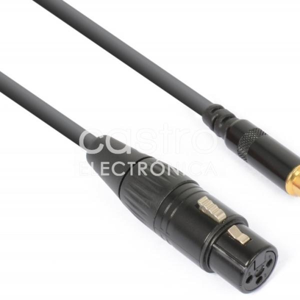 Cabo Adaptador Canon Femea - RCA Femea (15cm) - POWER DYNAMICS CONNEX