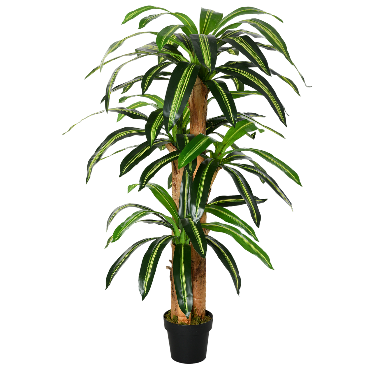Planta Artificial Decorativa Dracaena com Pote Árvore Sintética 66 Folhas Ø20x160 cm Verde