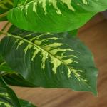 Planta Artificial Aglaonema Planta Sintética de 95cm com 42 Folhas e Vaso de Cimento Decoração para Casa e Exterior Verde