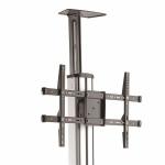 Trólei Startech STNDMTV70           