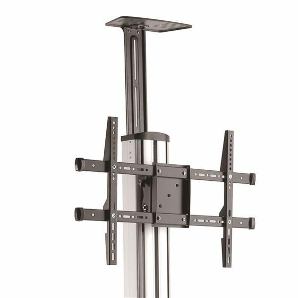 Trólei Startech STNDMTV70           