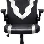 Cadeira Gaming GXT 703W Riye (Preto/Branco) - TRUST