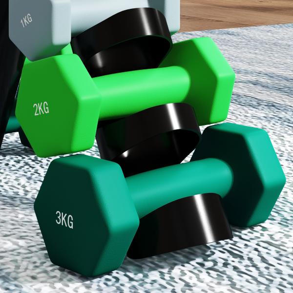 Conjunto de Halteres 2 x 1kg 2 x 32kg e 2 x 3kg Halteres Hexagonais com Suporte de Armazenamento para Treino Multicor