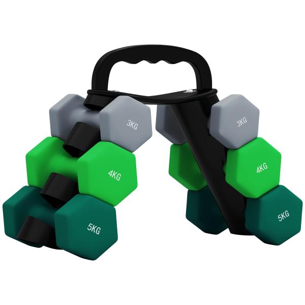 Conjunto de Halteres 2 x 3kg 2 x 4kg e 2 x 5kg Halteres Hexagonais com Suporte de Armazenamento para Treino Multicor