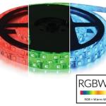 Fita 300 LEDs SMD5050 Flexivel IP65 RGB+WW 12V (5 mts)