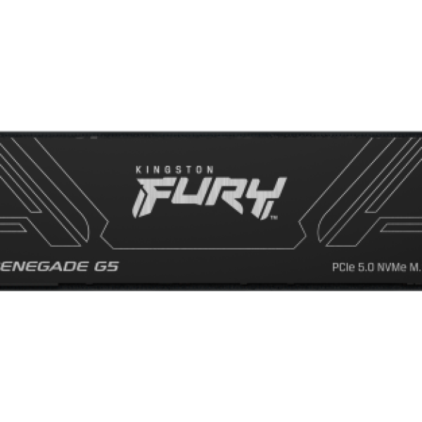 Disco SSD M.2 NVMe Kingston1TB Fury Renegade G5
