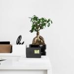 Rádio Evoom LEKIO Preto