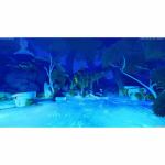 Jogo eletrónico PlayStation 5 Microids The Smurfs 2 - The Prisoner of the Green Stone (FR)