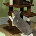 Arranhador para Gatos Grande Altura 104 cm com Plataformas Postes com Escova Bolas Suspensas e Almofadas para Arranhar Marrom