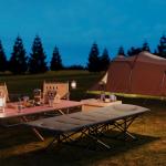 Cama Dobrável de Campismo Praia com Apoio de Cabeça e Bolso Lateral Suporta até 150 kg 187x67x37 cm Cinzento