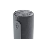 Altifalante Bluetooth Loewe Cinzento