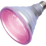 Lampada LED E27 PAR38 220V 12W p/ Crescimento Plantas e Flores