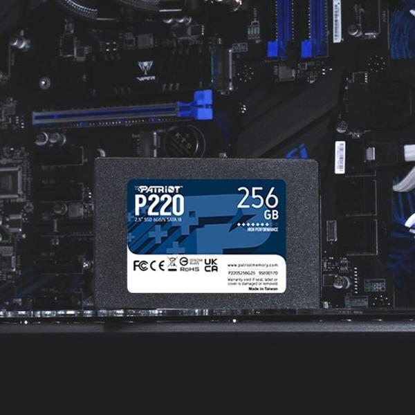 Disco Duro Patriot Memory P220 256GB 256 GB SSD