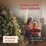 Árvore de Natal Artificial 150 cm Árvore de Natal com 581 Ramos com Efeito Neve 44 Pinhas Verde