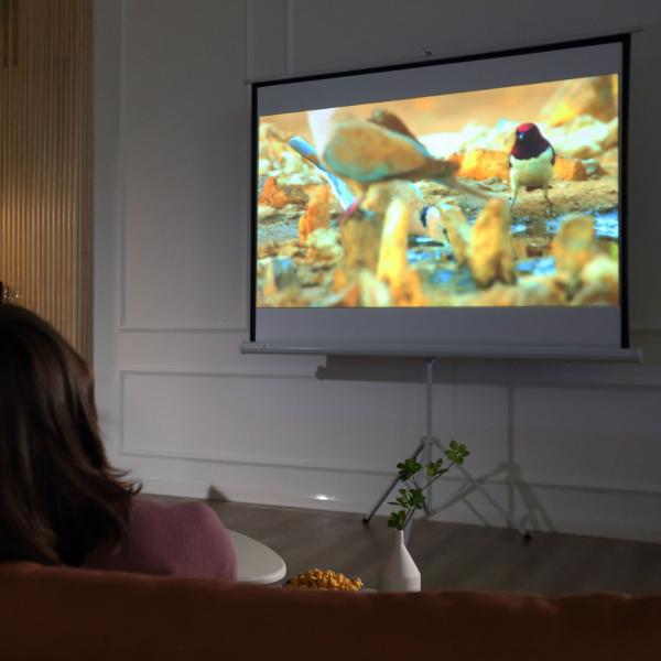 Tela de Projeção Dobrável 84 Polegadas Formato 4:3 com Altura Ajustável para Cinema em Casa Apresentações 180x203 cm Branco