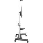 Suporte TV Startech STNDMTV100 100"